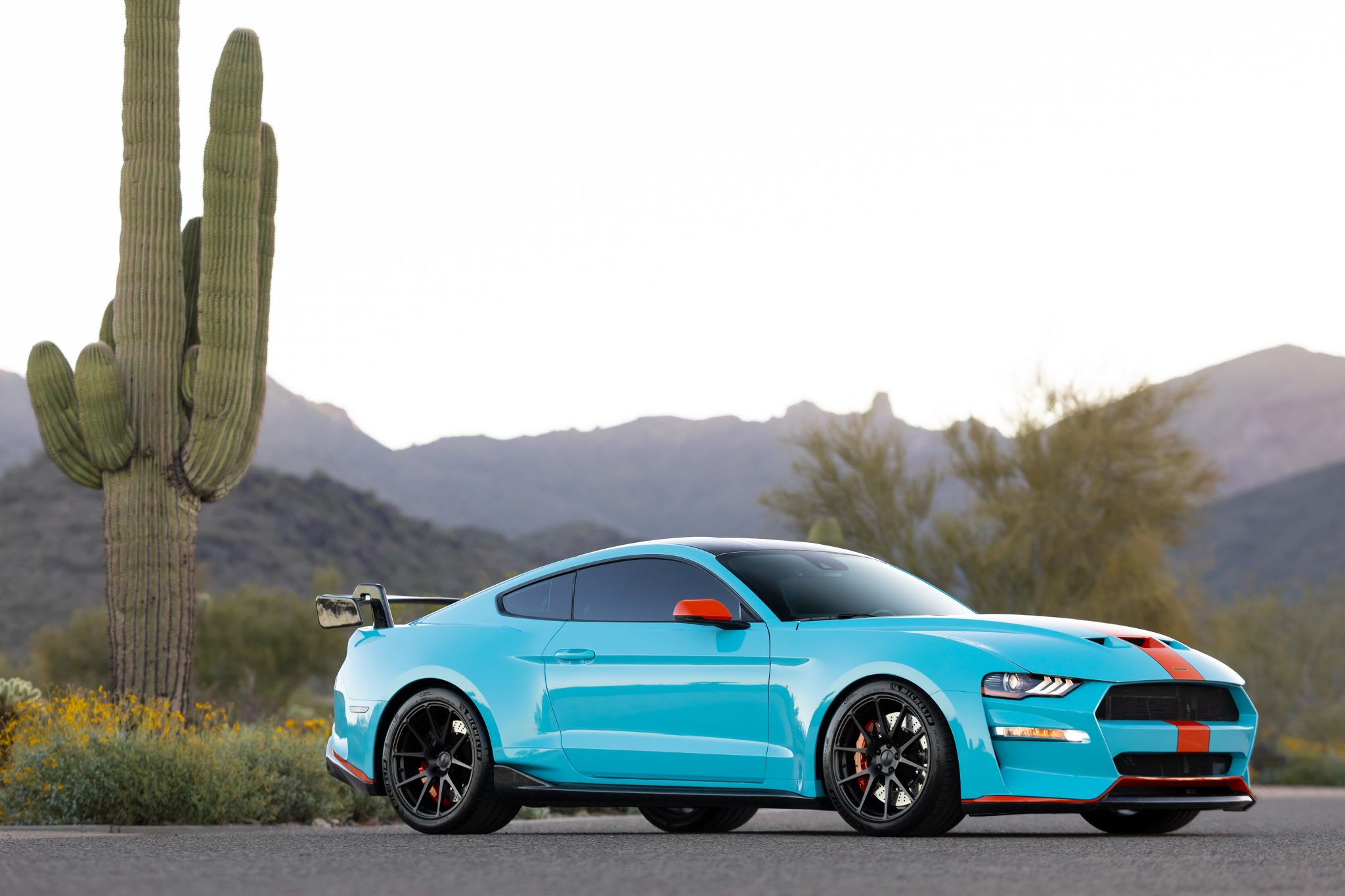Used 2019 Ford Mustang Revenge GT Coupe Review