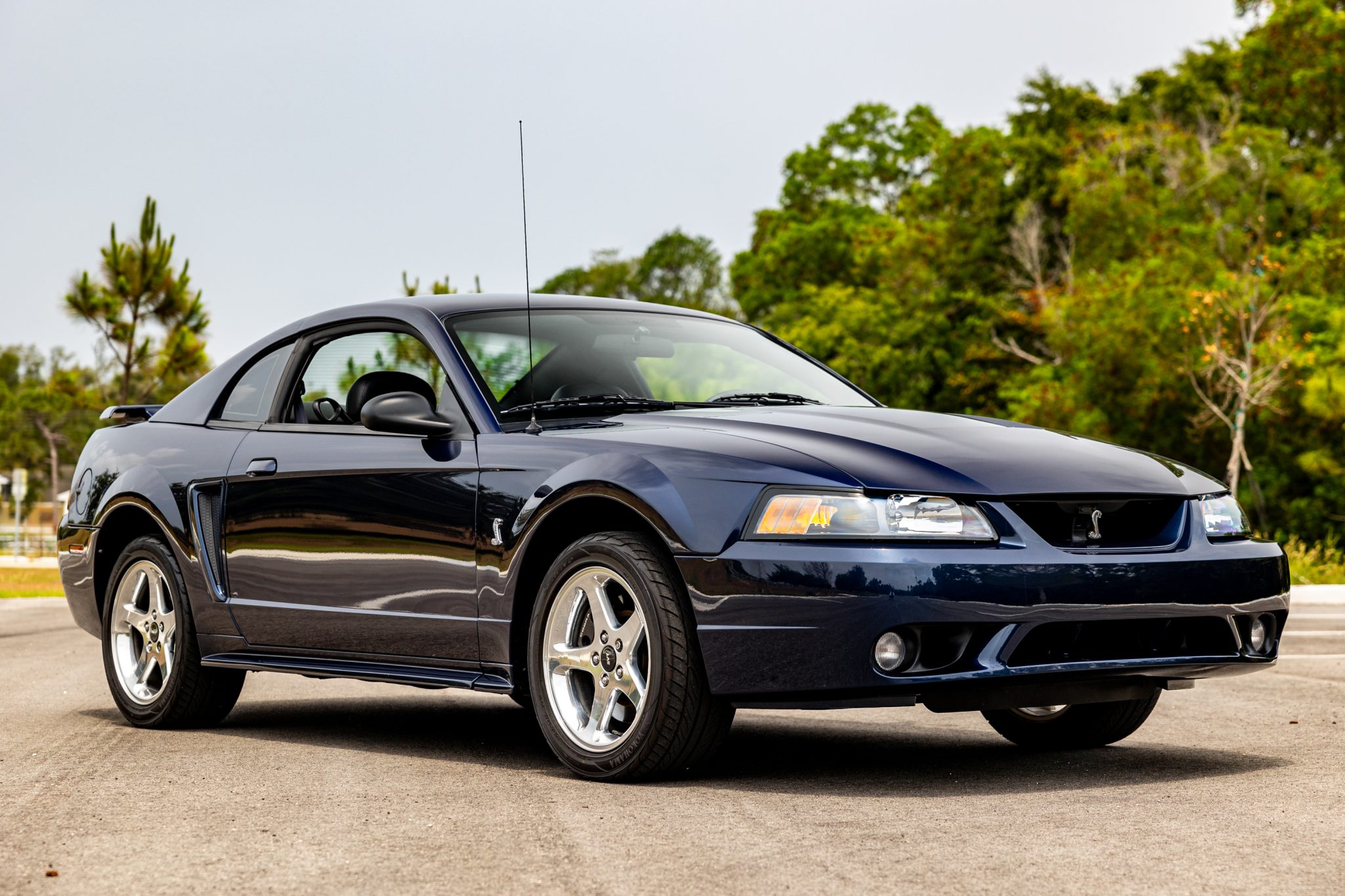 Used 21k-Mile 2001 Ford Mustang SVT Cobra Coupe Review