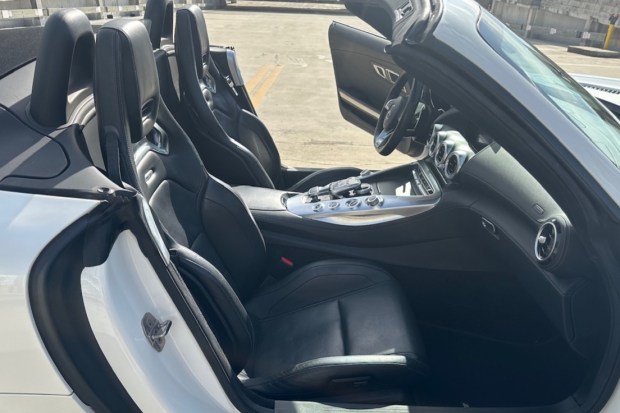 2019 Mercedes-AMG GT Roadster