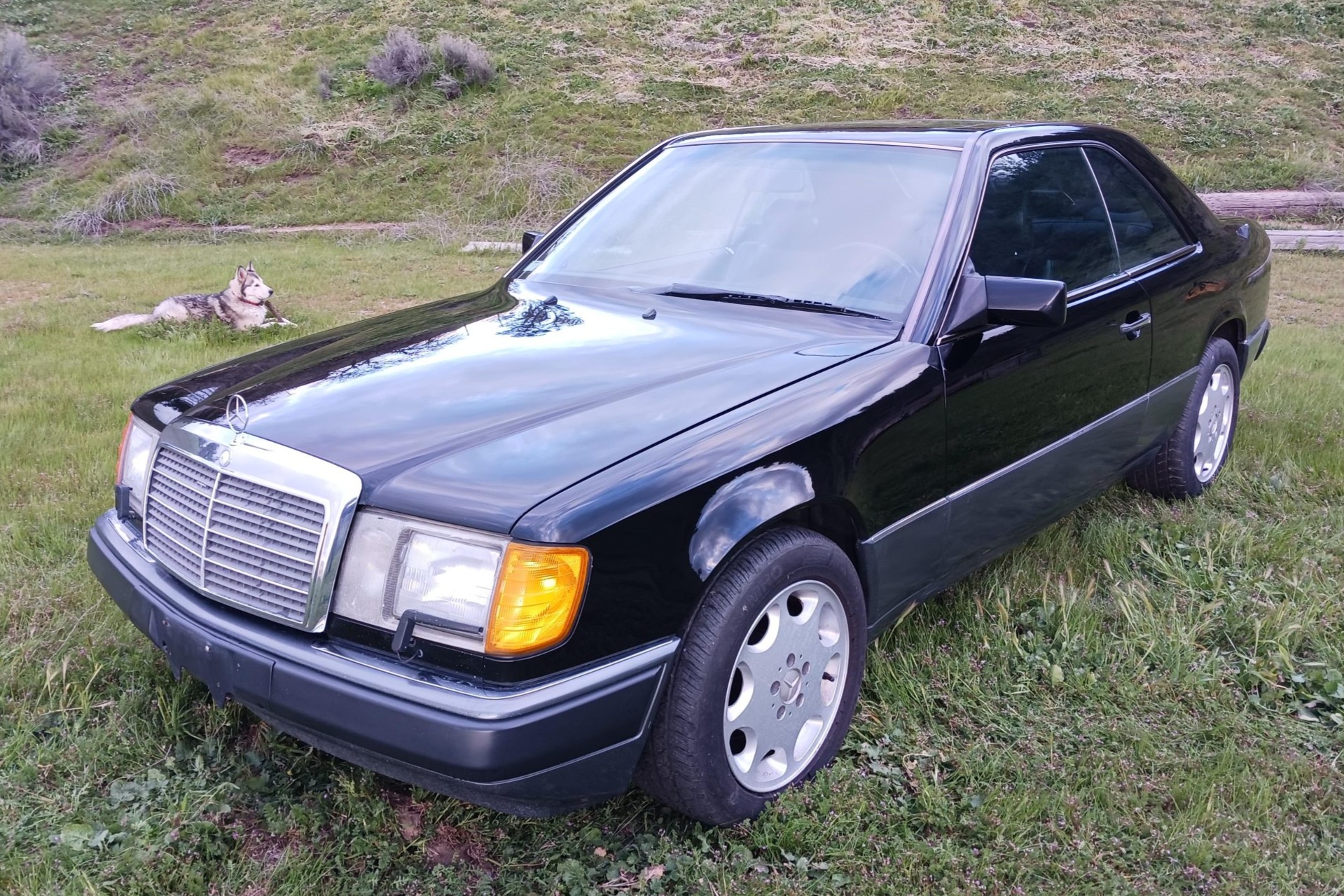 Used 25-Years-Owned 1991 Mercedes-Benz 300CE Review